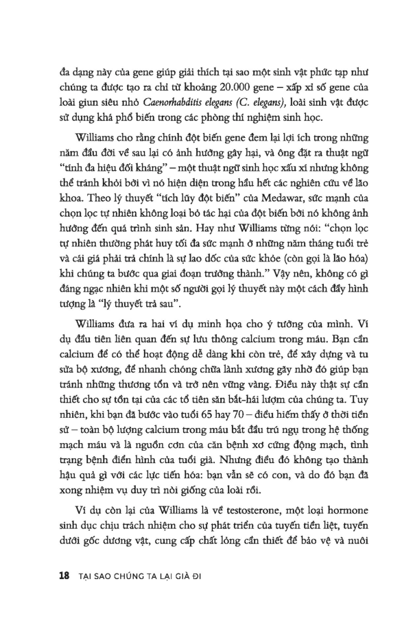 tại sao chúng ta lại già đi? - hiểu đúng về lão hóa