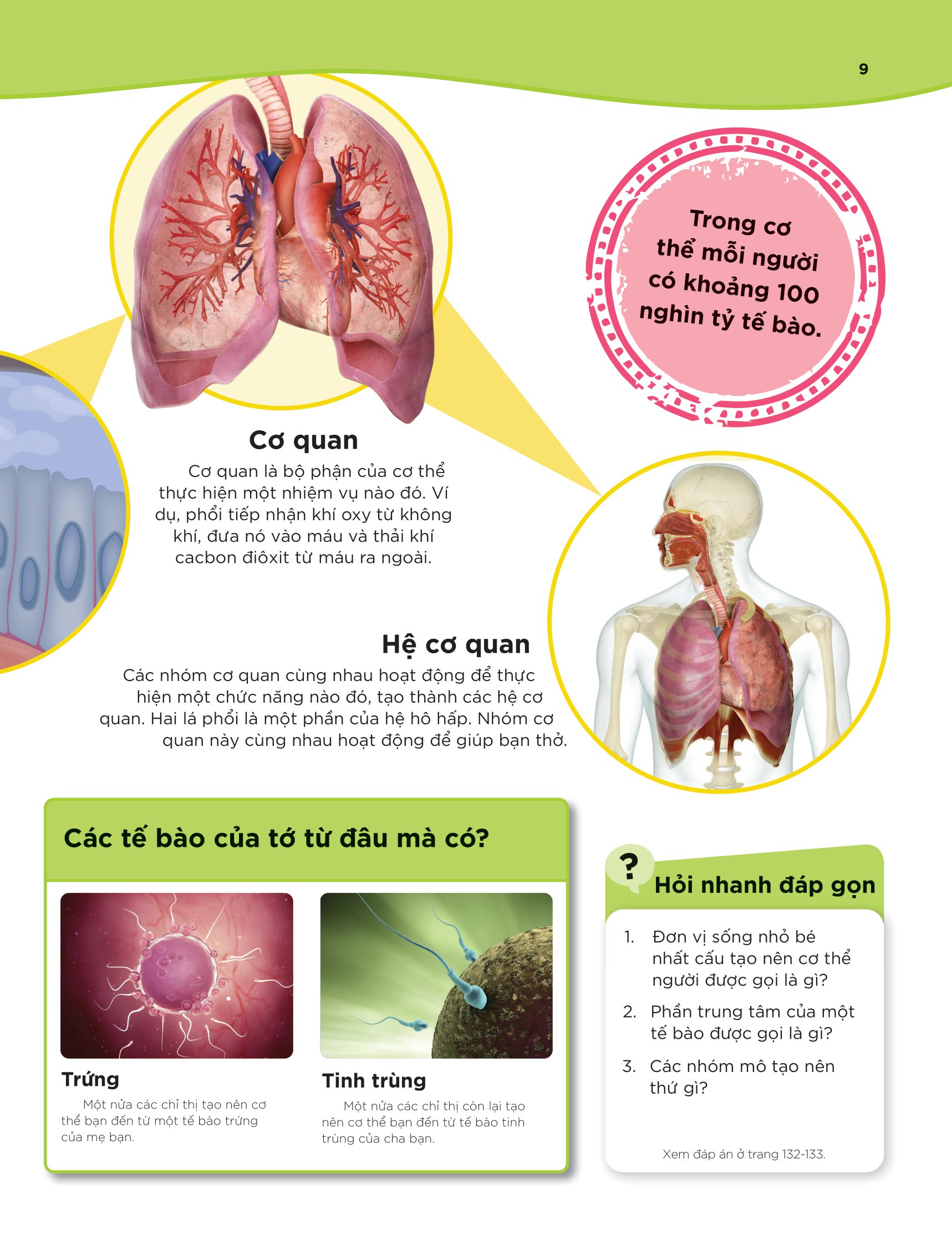 tại sao máu màu đỏ? - với 200 câu hỏi đáng kinh ngạc về cơ thể người