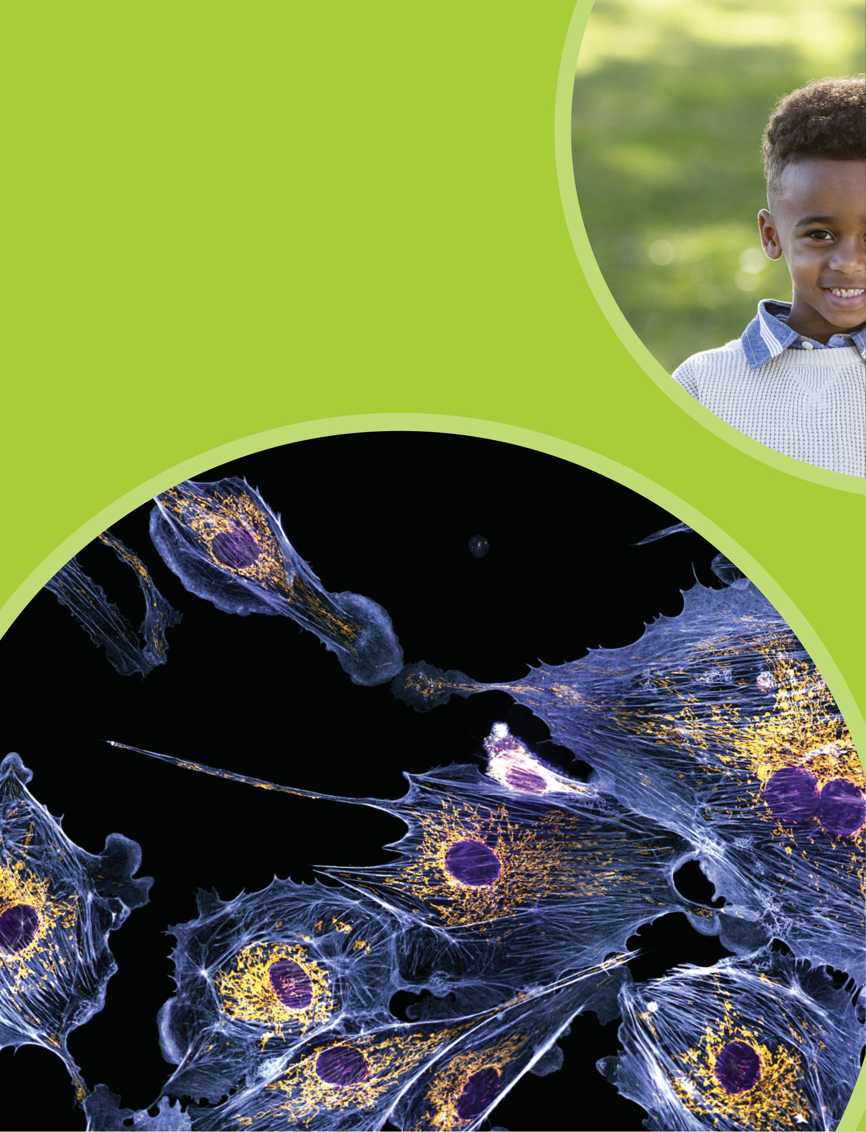 tại sao máu màu đỏ? - với 200 câu hỏi đáng kinh ngạc về cơ thể người