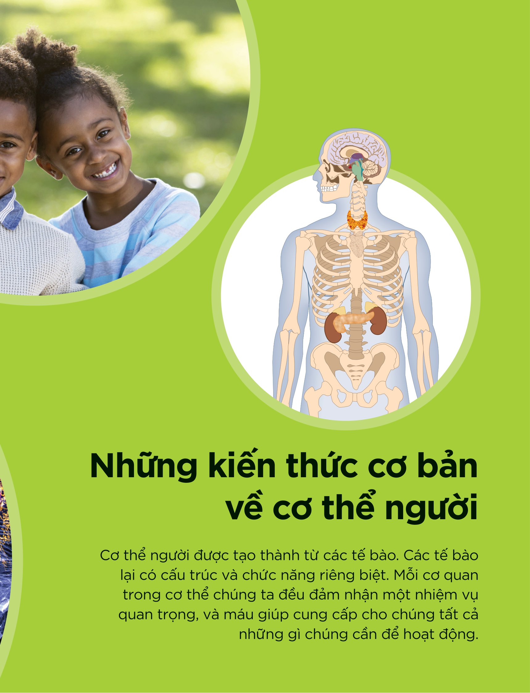 tại sao máu màu đỏ? - với 200 câu hỏi đáng kinh ngạc về cơ thể người