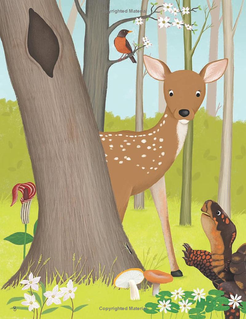 tales from the forest