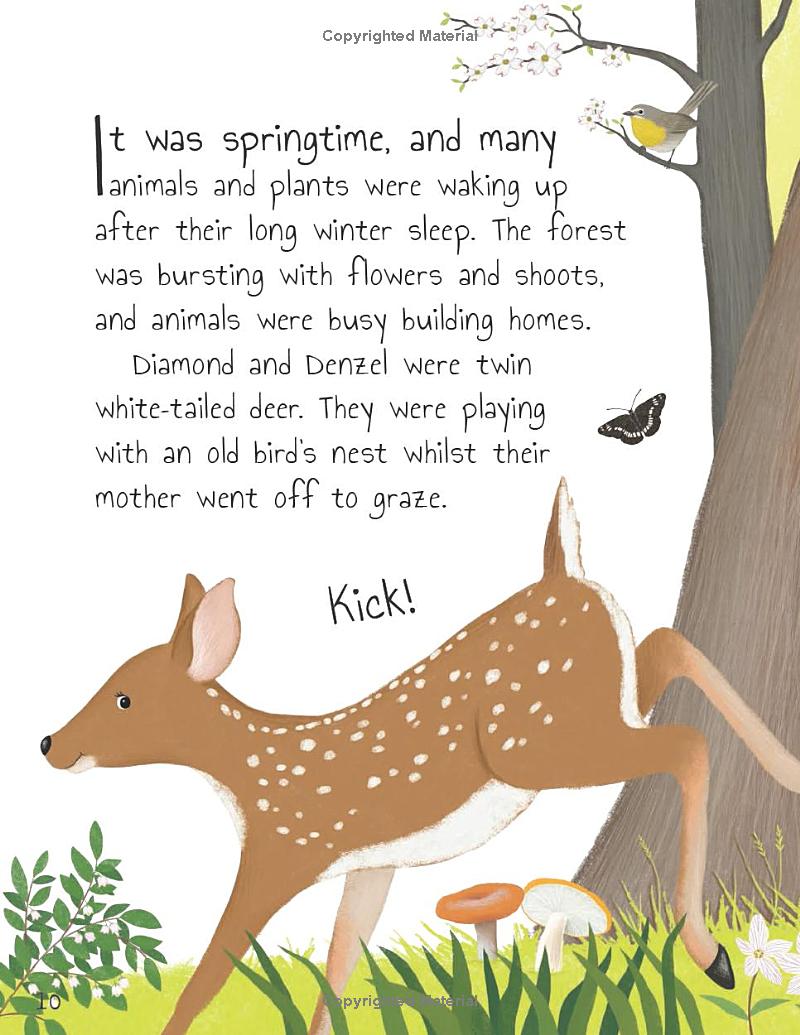 tales from the forest