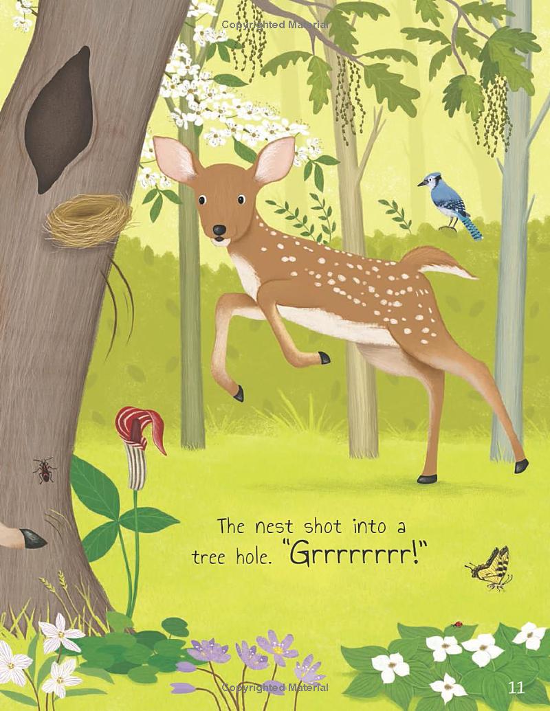 tales from the forest