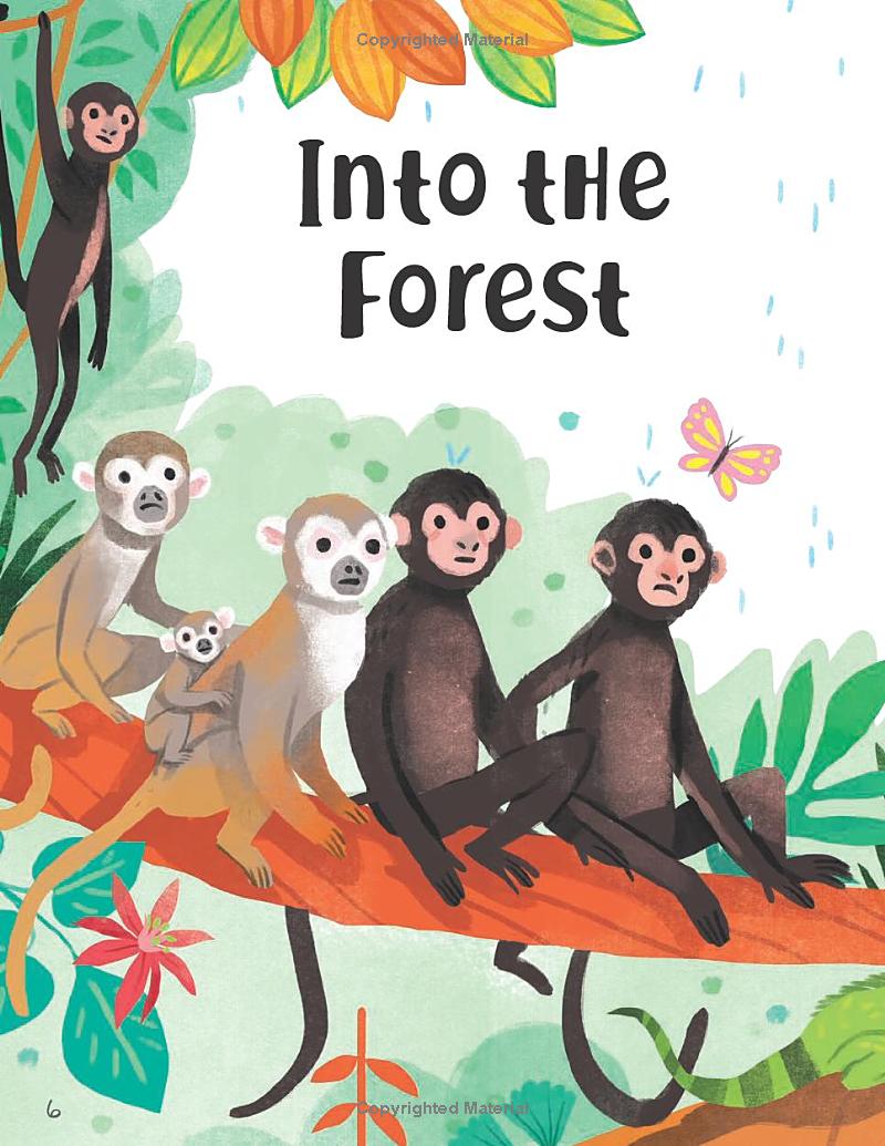 tales from the forest