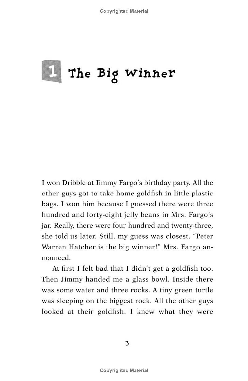 tales of a fourth grade nothing