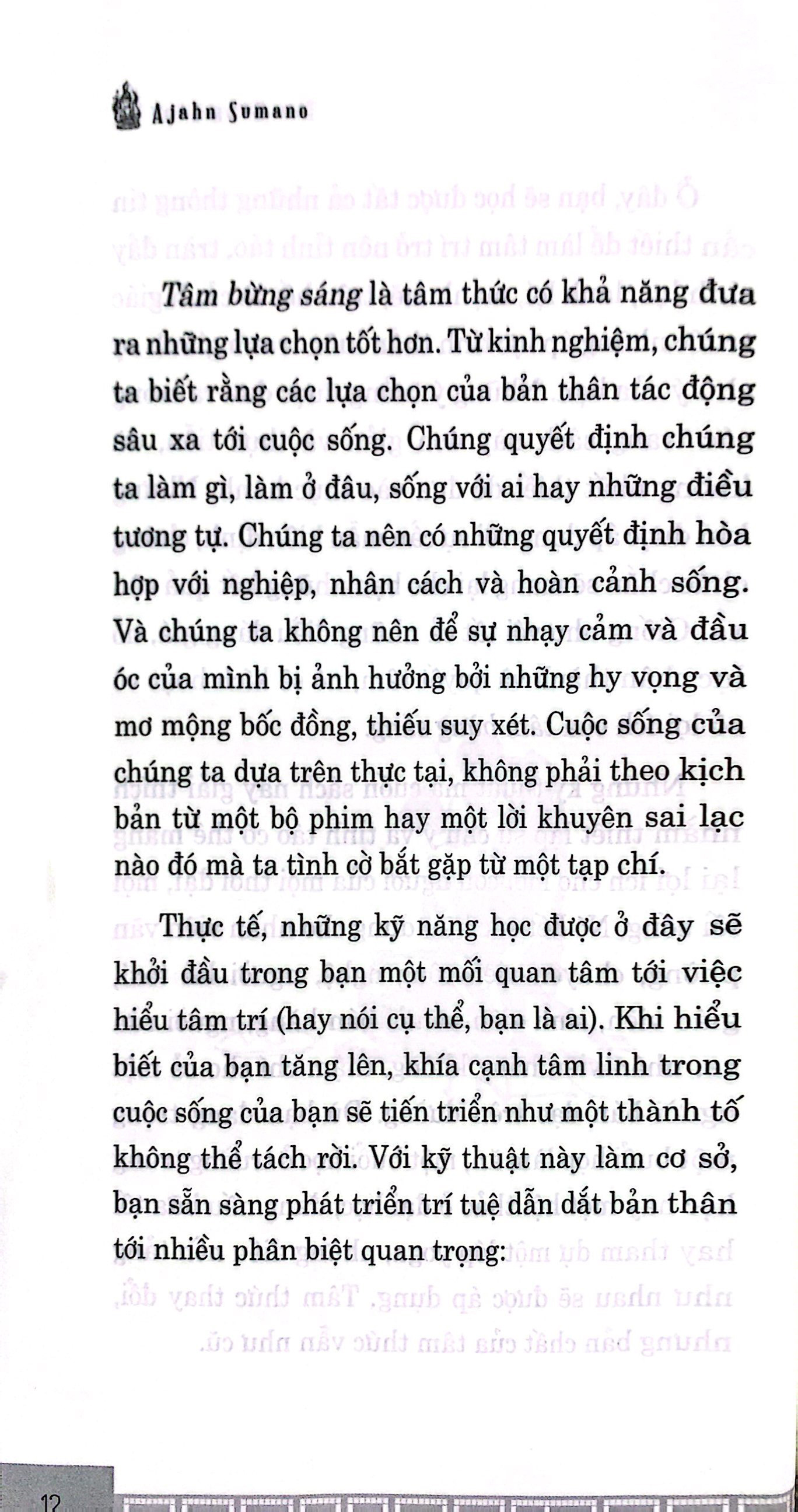 tâm bừng sáng - the brightened mind - hướng dẫn đơn giản về thiền phật giáo