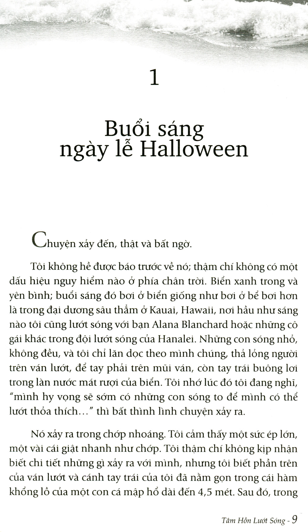 tâm hồn lướt sóng