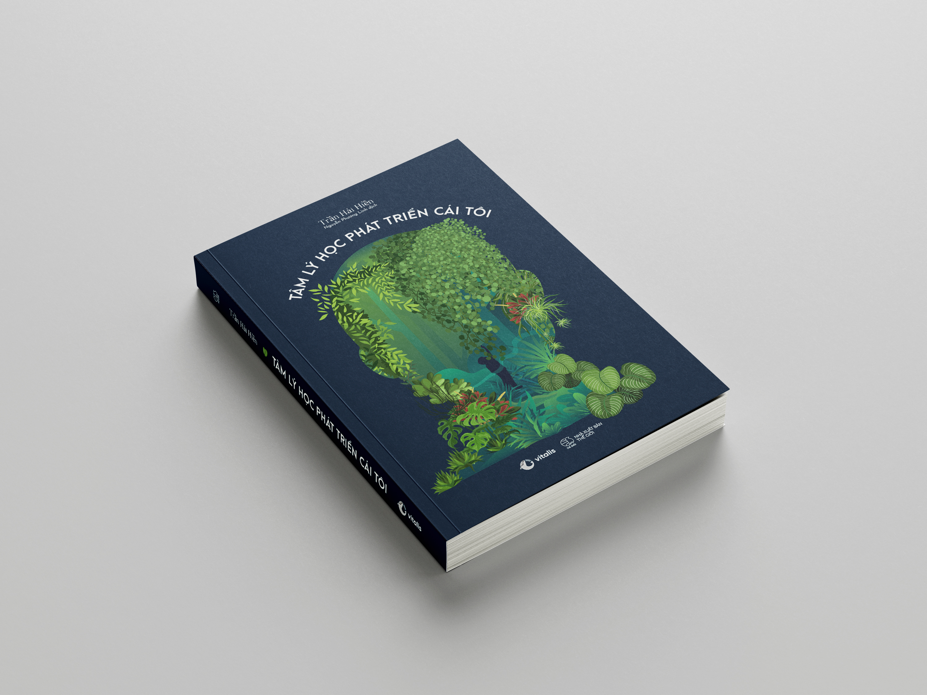 tâm lý học phát triển cái tôi