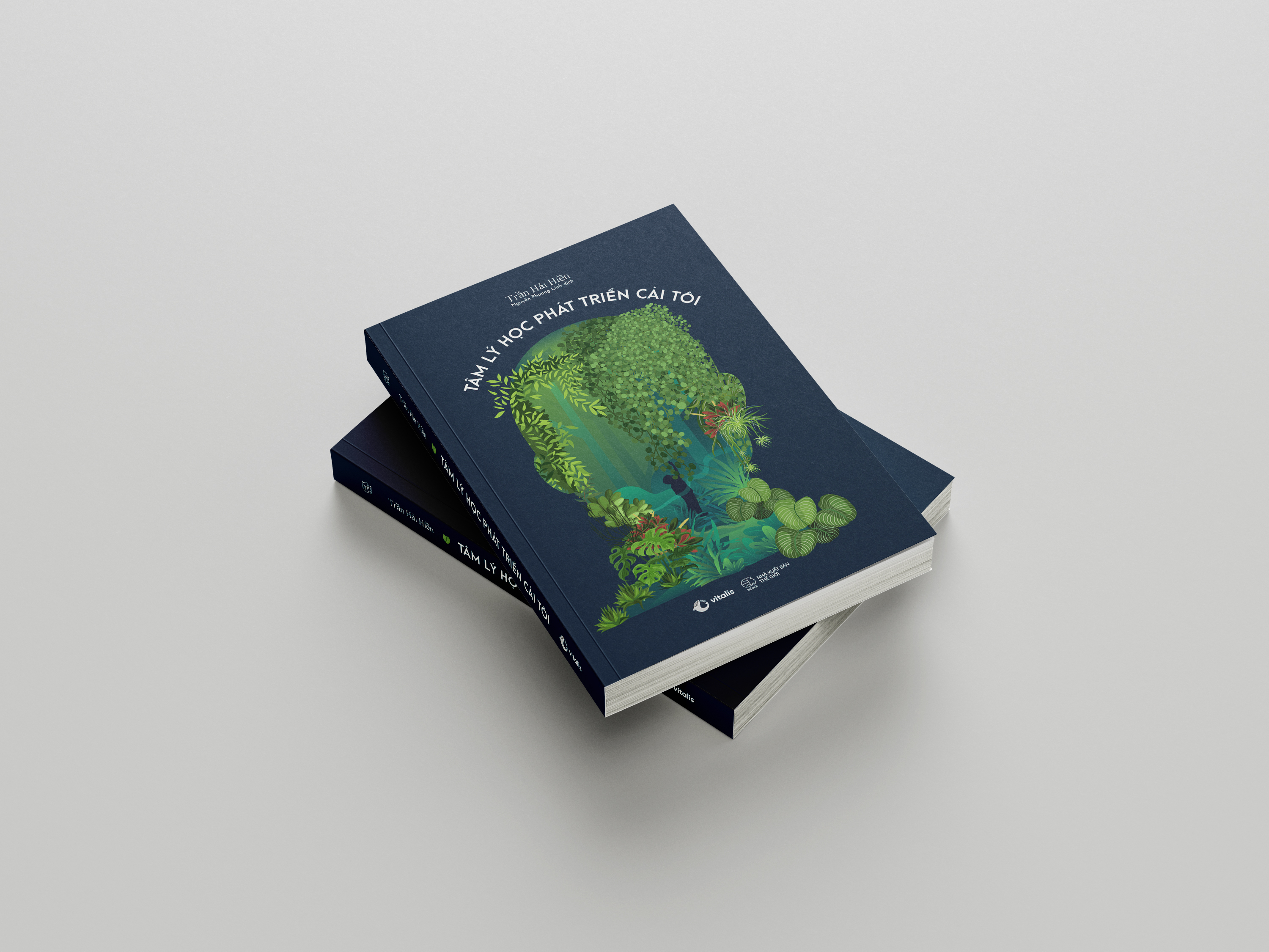 tâm lý học phát triển cái tôi