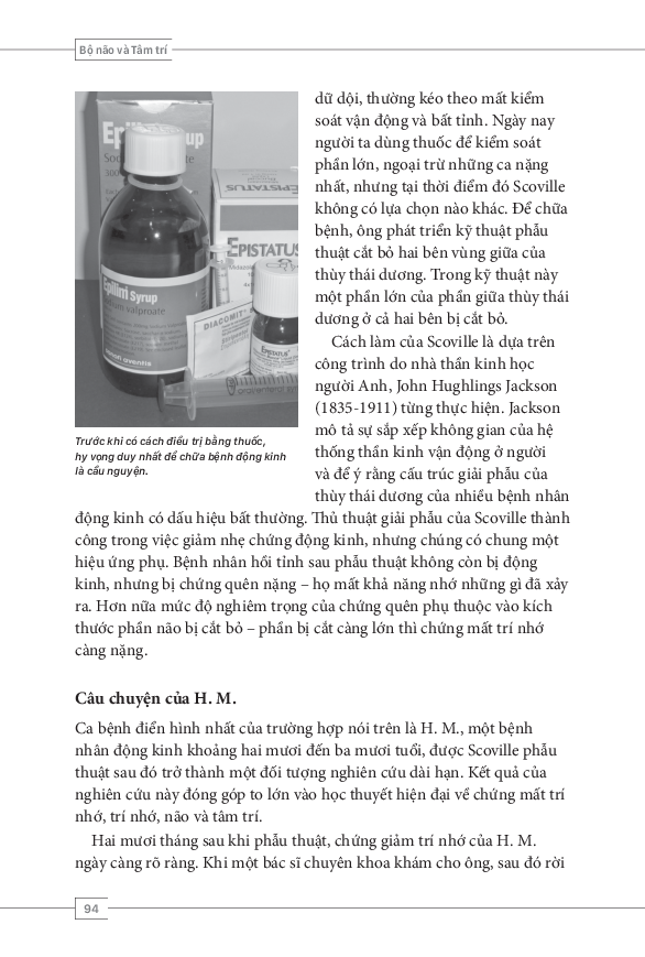 tâm lý học toàn thư - bộ não và tâm trí