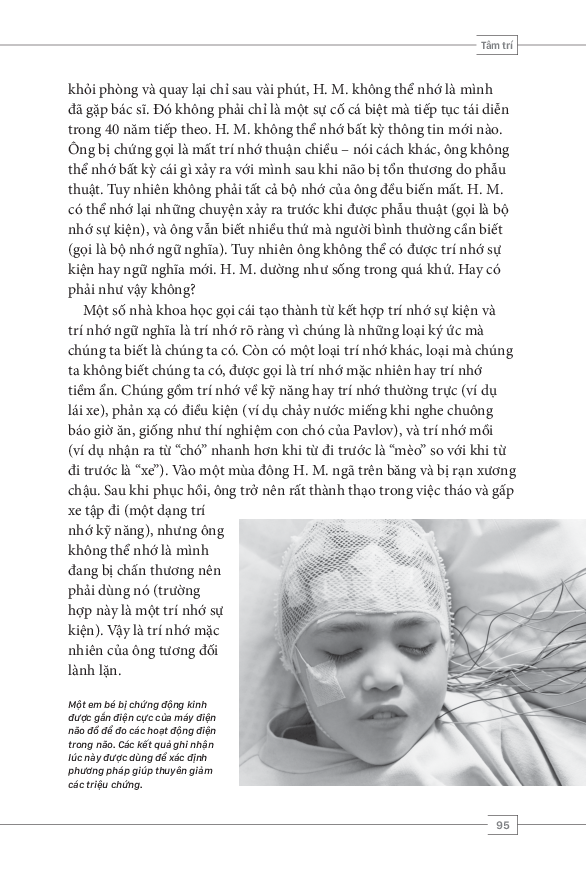 tâm lý học toàn thư - bộ não và tâm trí