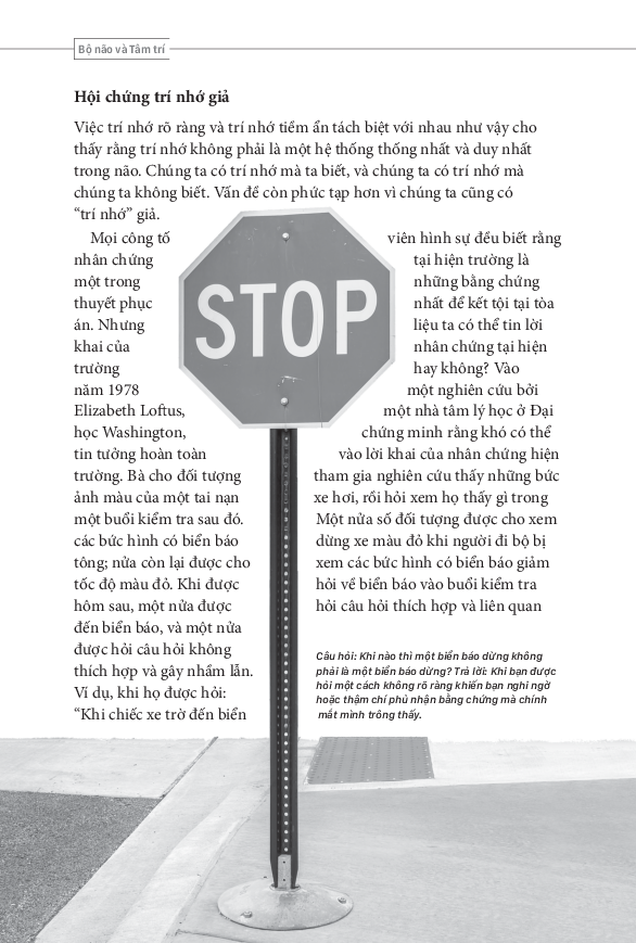 tâm lý học toàn thư - bộ não và tâm trí