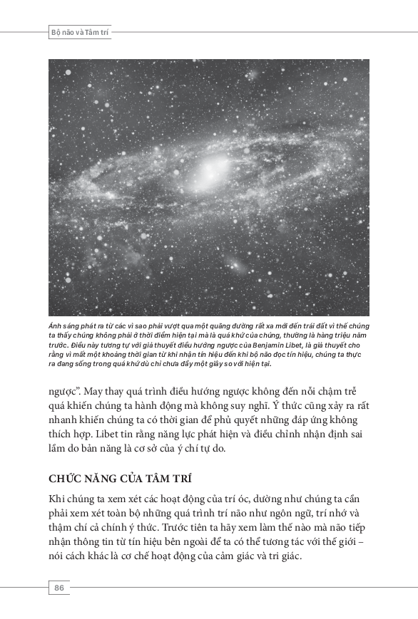 tâm lý học toàn thư - bộ não và tâm trí