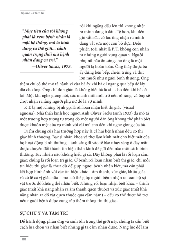 tâm lý học toàn thư - bộ não và tâm trí