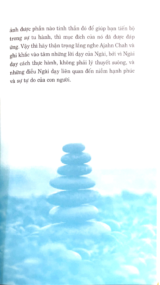 tâm tĩnh lặng (tái bản 2024)