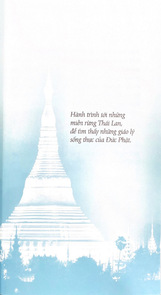 tâm tĩnh lặng (tái bản 2024)