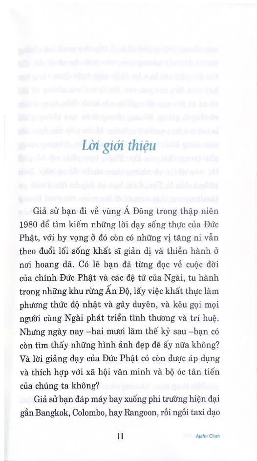 tâm tĩnh lặng (tái bản 2024)