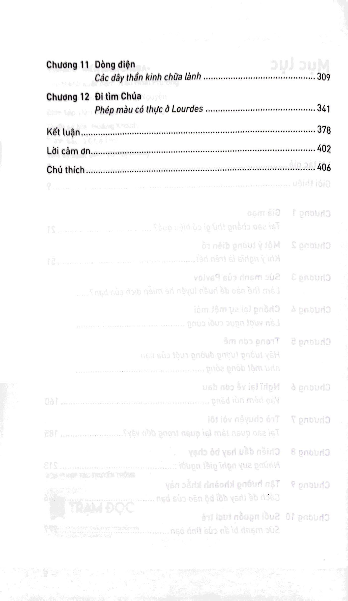 tâm trí chữa lành cơ thể như thế nào