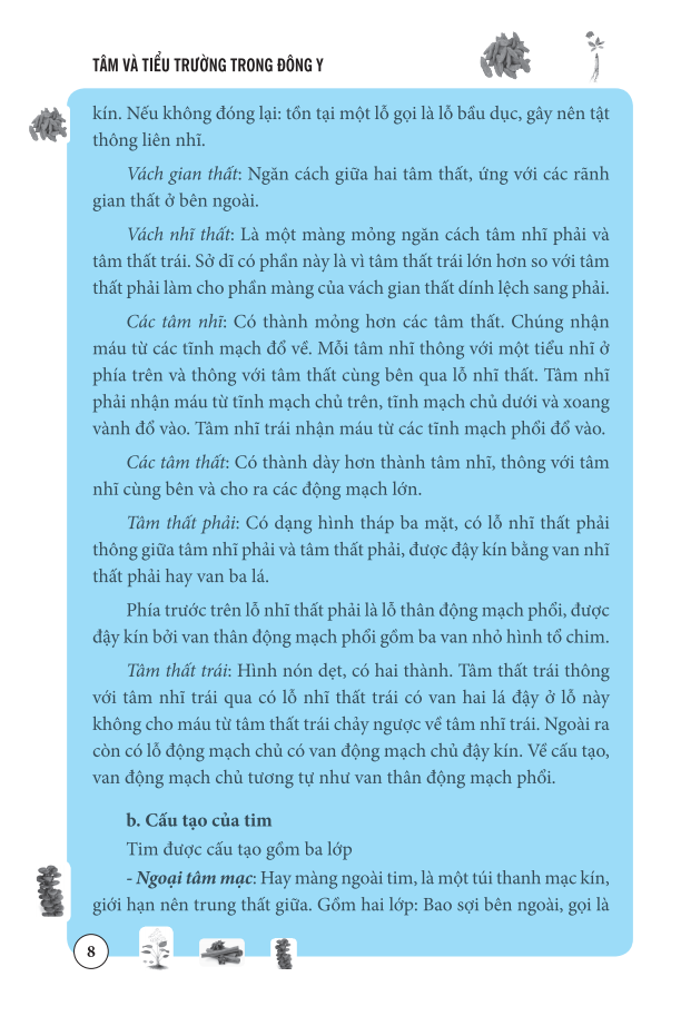 tâm và tiểu trường trong đông y