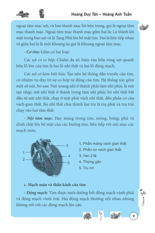 tâm và tiểu trường trong đông y