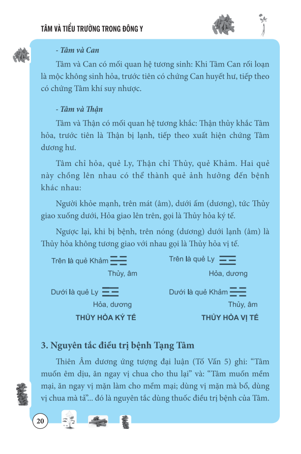 tâm và tiểu trường trong đông y