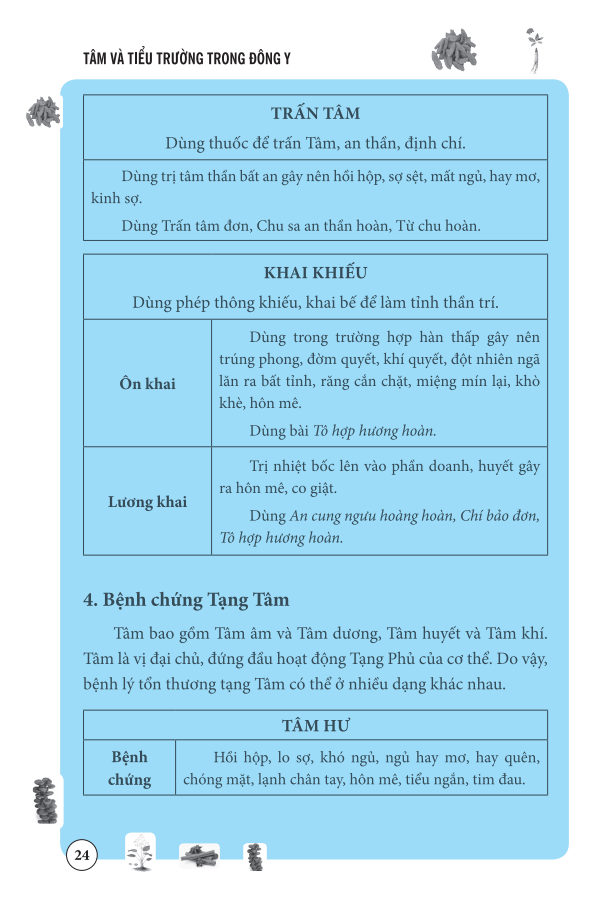 tâm và tiểu trường trong đông y