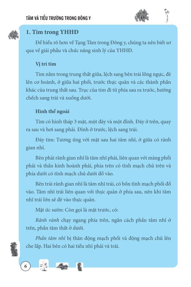 tâm và tiểu trường trong đông y