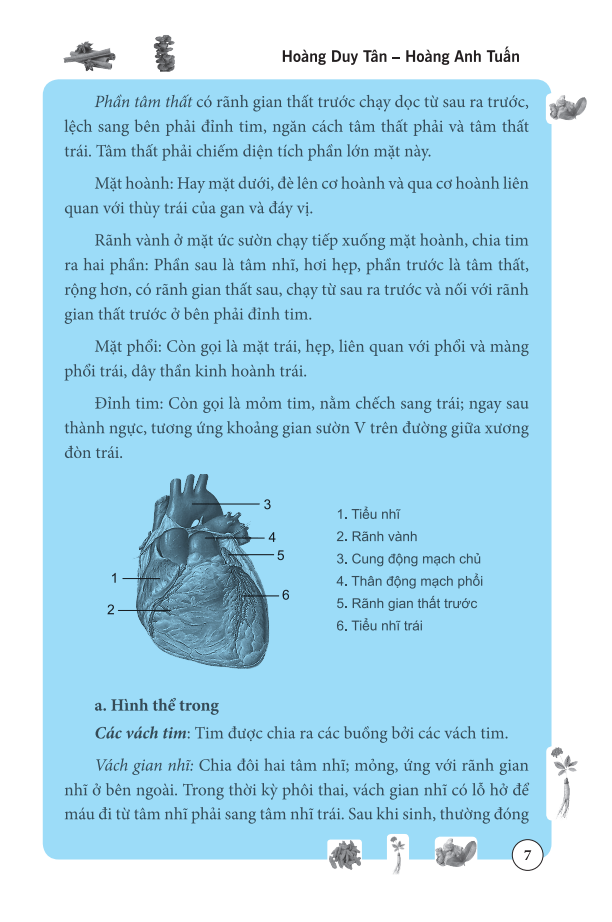 tâm và tiểu trường trong đông y