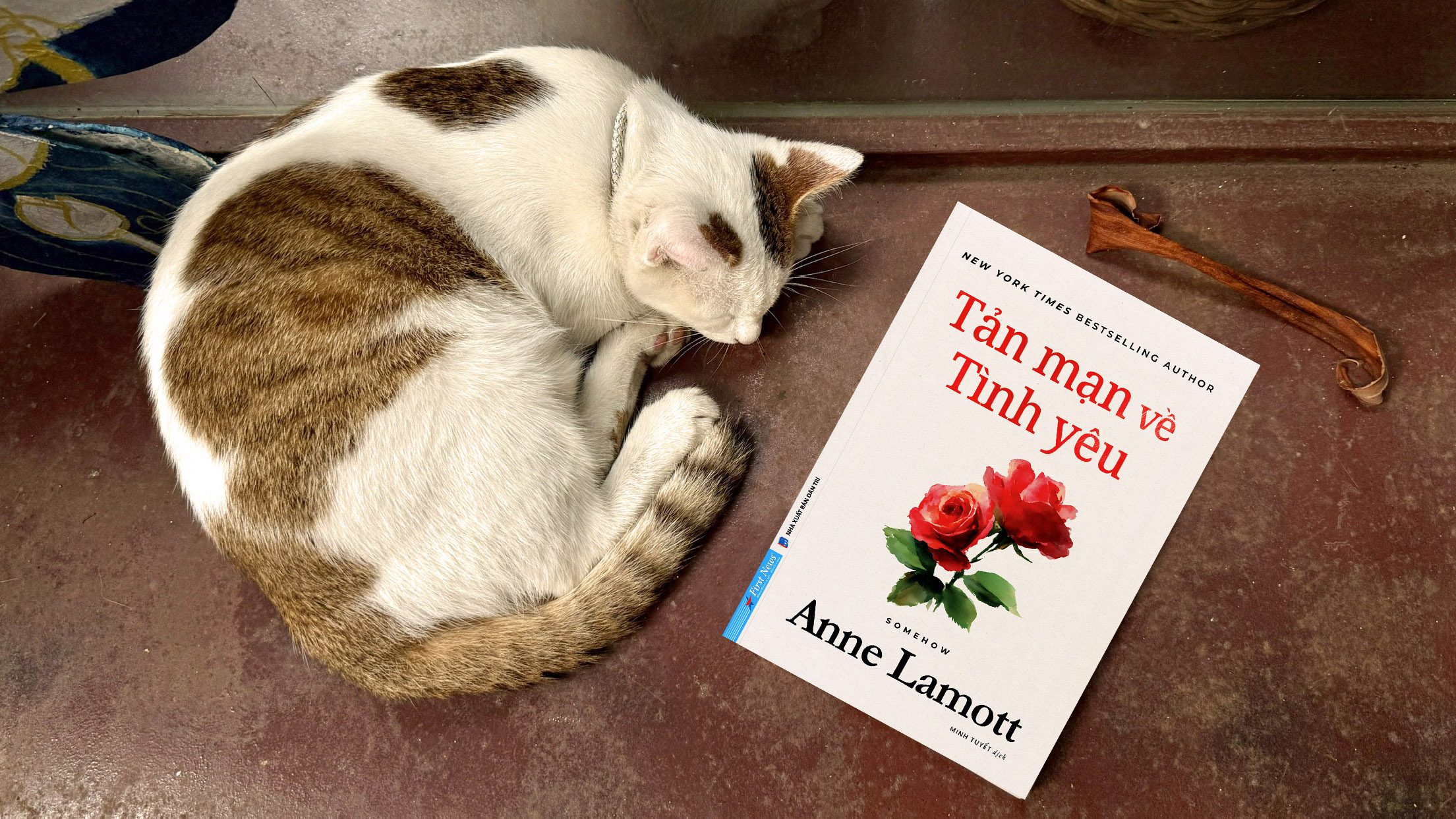 Tản Mạn Về Tình Yêu - Somehow