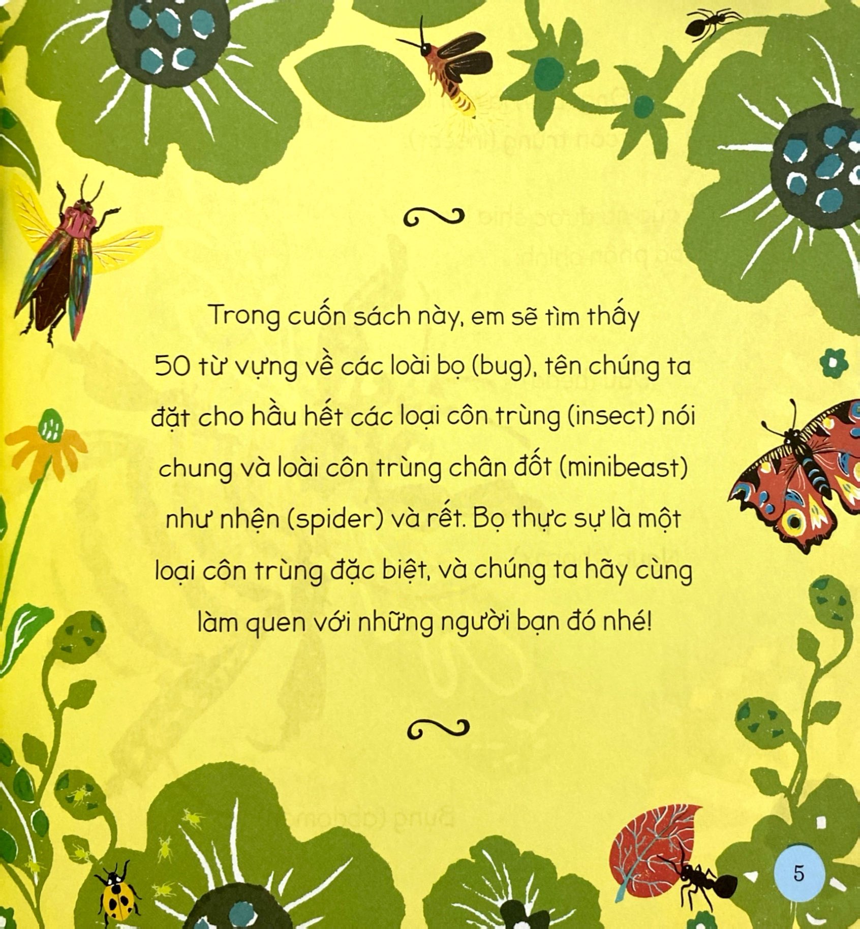 tăng vốn từ, thêm kiến thức - 50 từ về các loài bọ