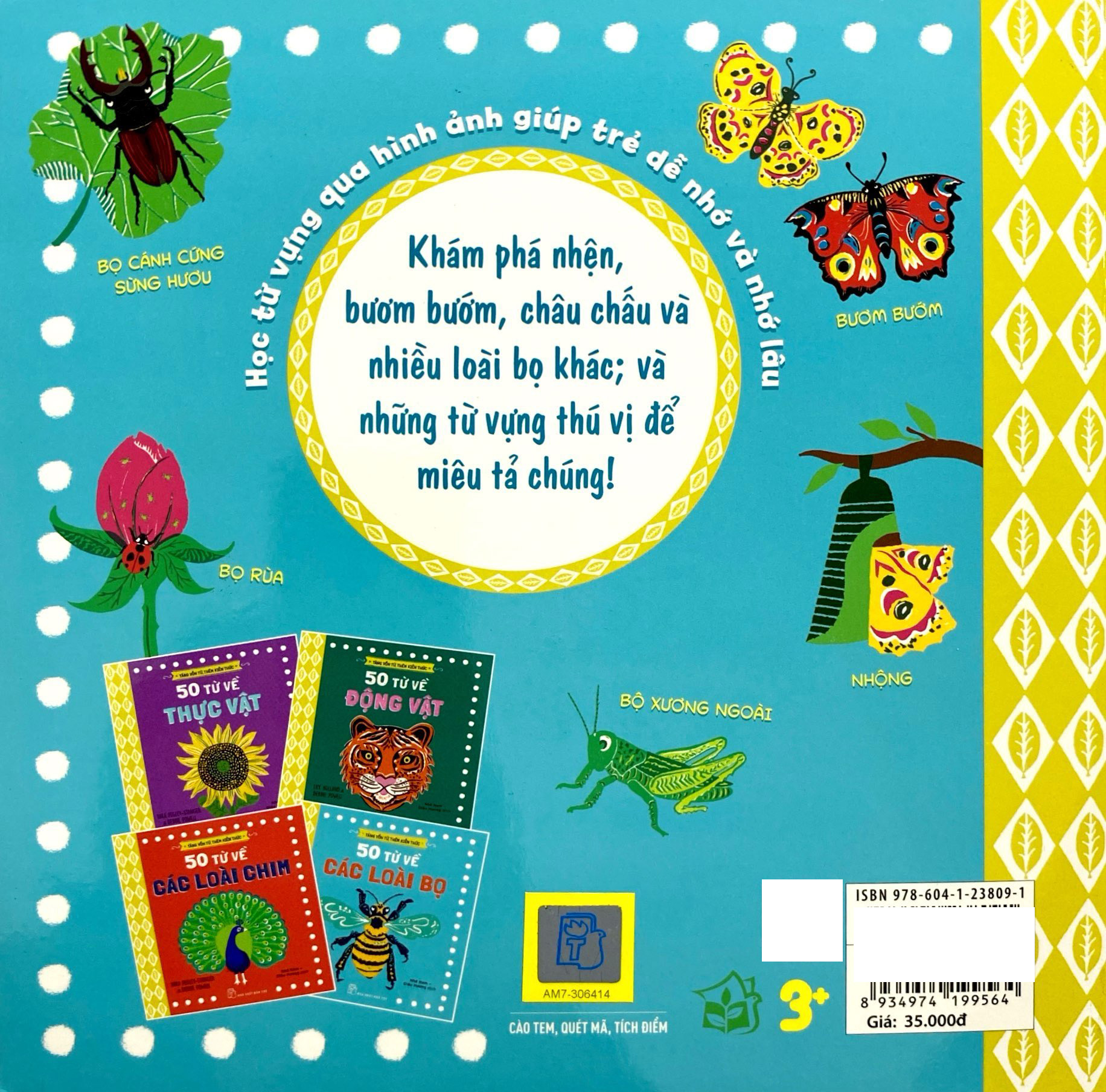 tăng vốn từ, thêm kiến thức - 50 từ về các loài bọ