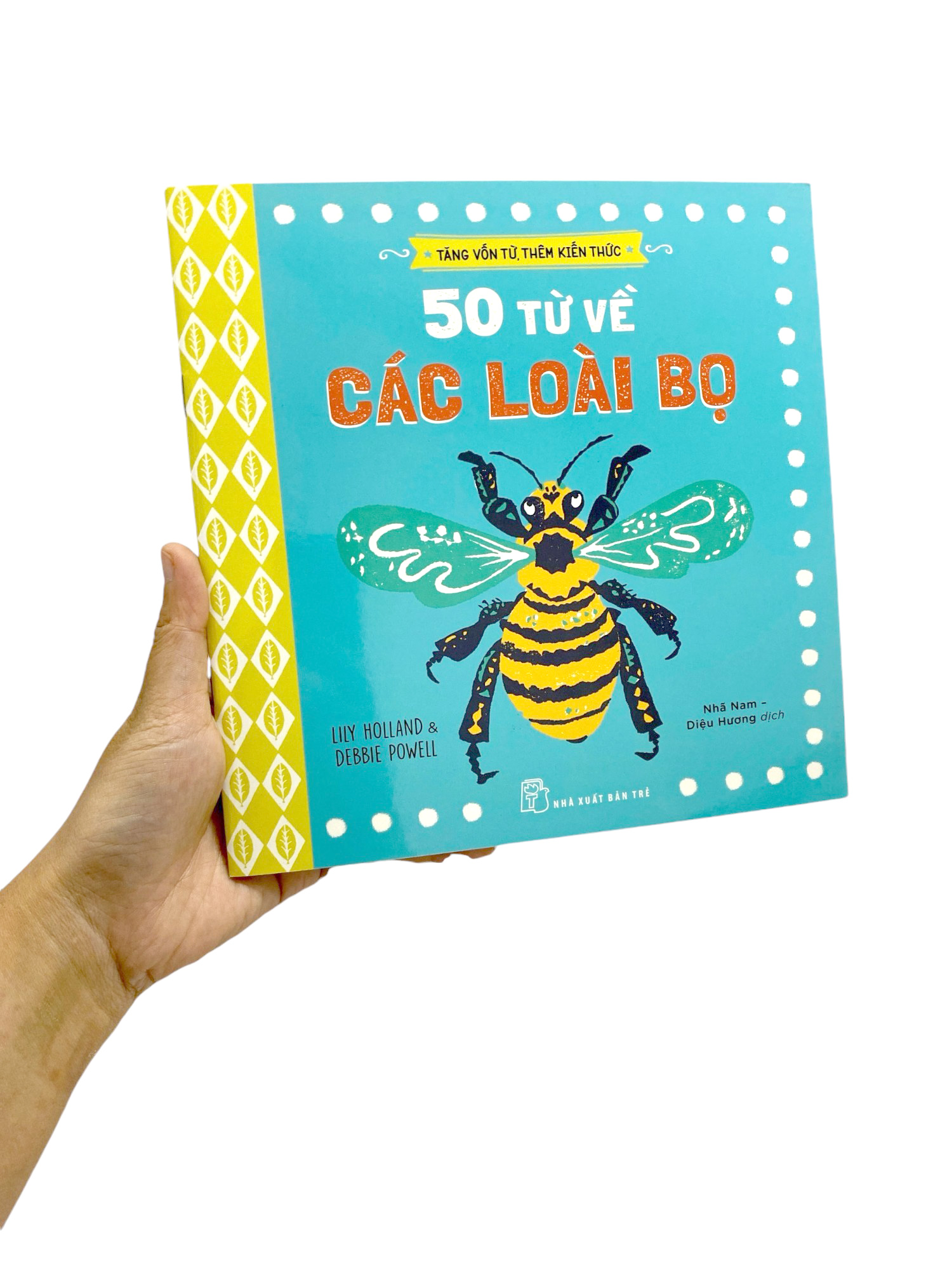 tăng vốn từ, thêm kiến thức - 50 từ về các loài bọ