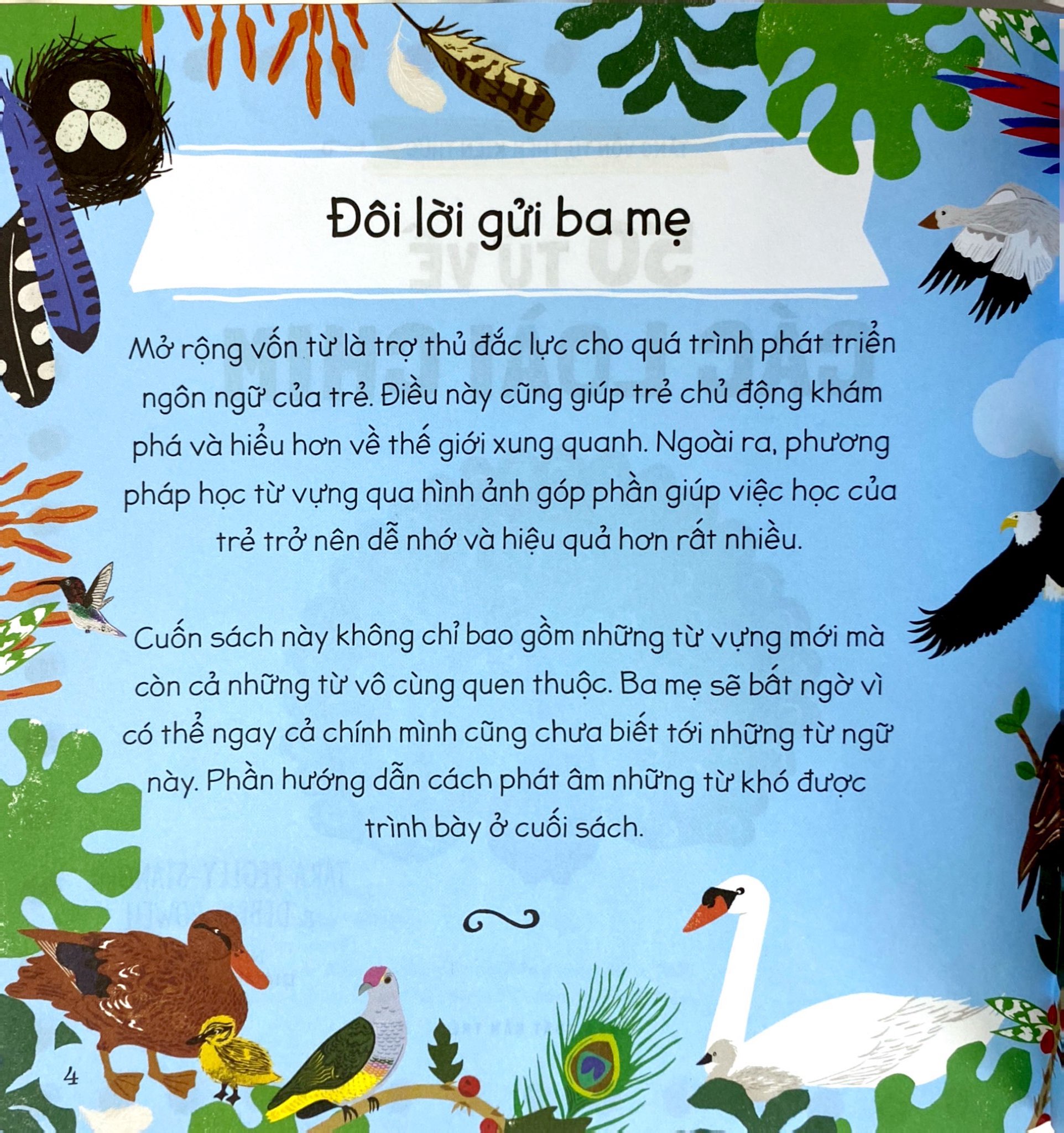 tăng vốn từ, thêm kiến thức - 50 từ về các loài chim