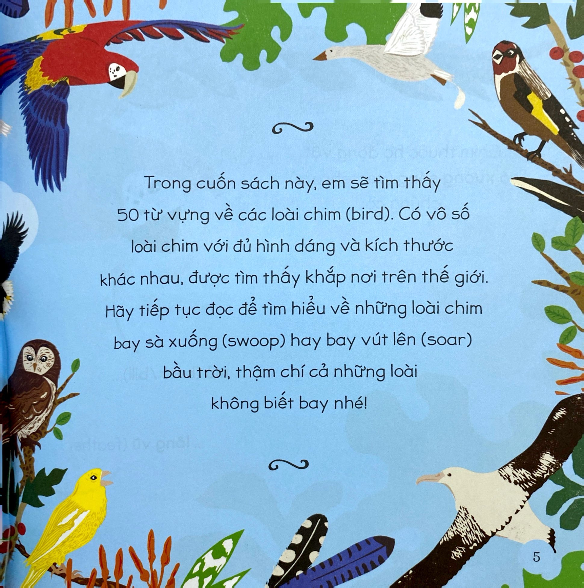 tăng vốn từ, thêm kiến thức - 50 từ về các loài chim