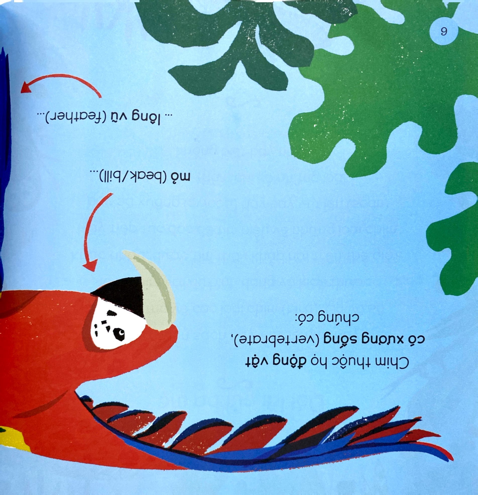 tăng vốn từ, thêm kiến thức - 50 từ về các loài chim