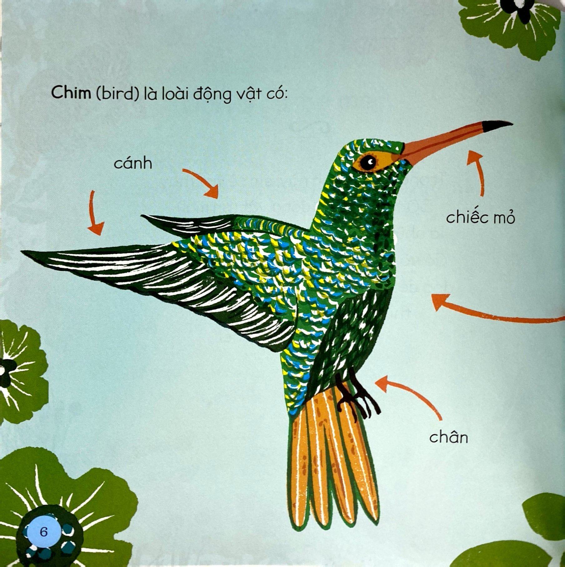 tăng vốn từ, thêm kiến thức - 50 từ về động vật