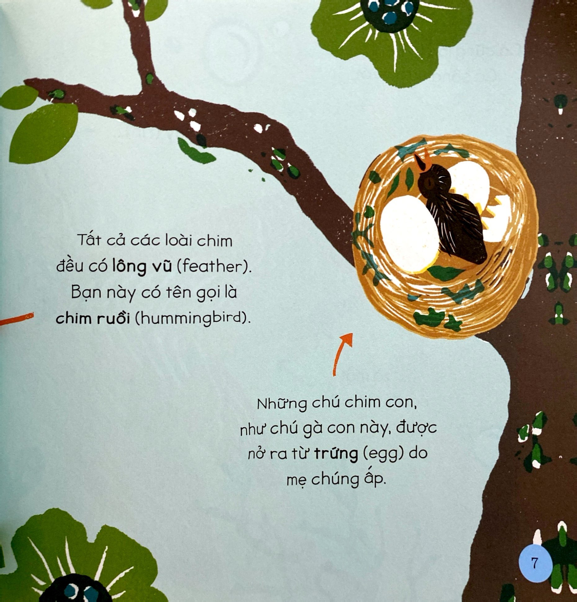 tăng vốn từ, thêm kiến thức - 50 từ về động vật