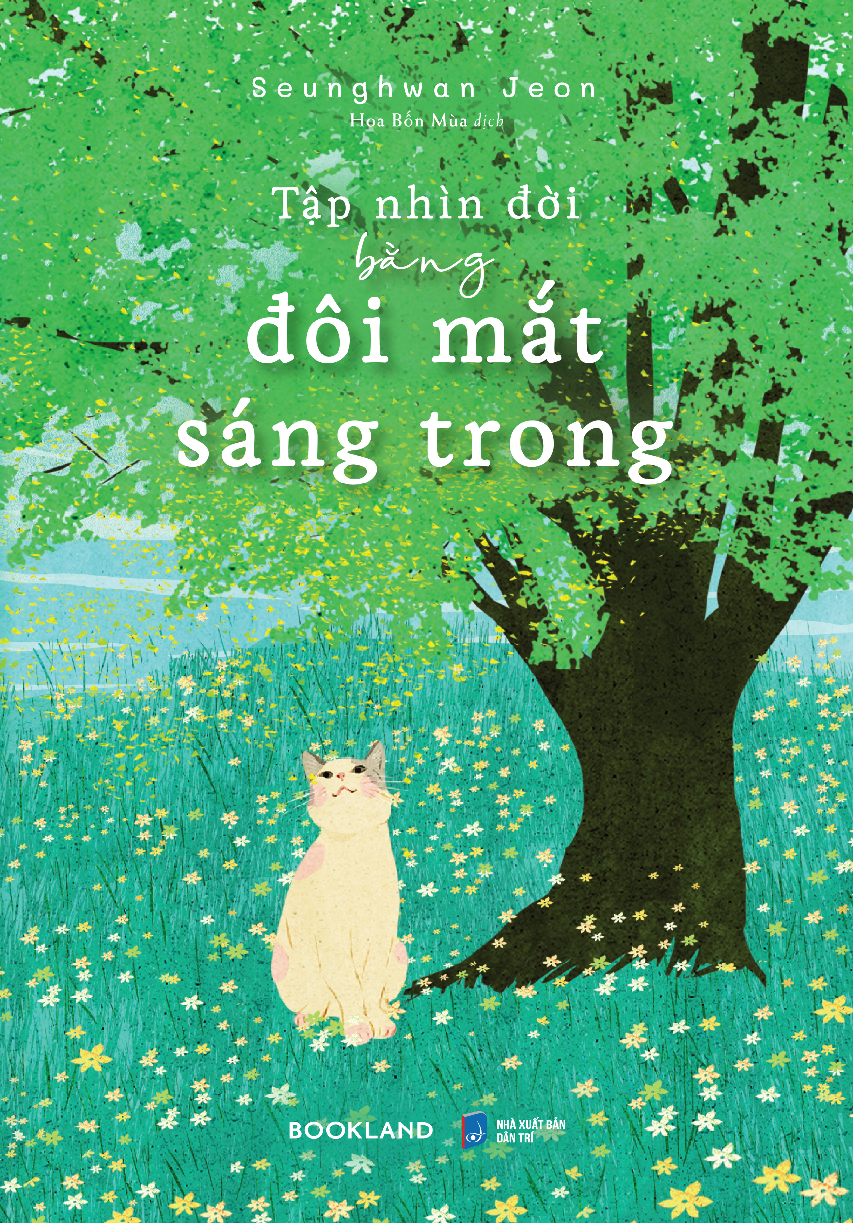 Tap Nhin Doi Bang Doi Mat Sang Trong