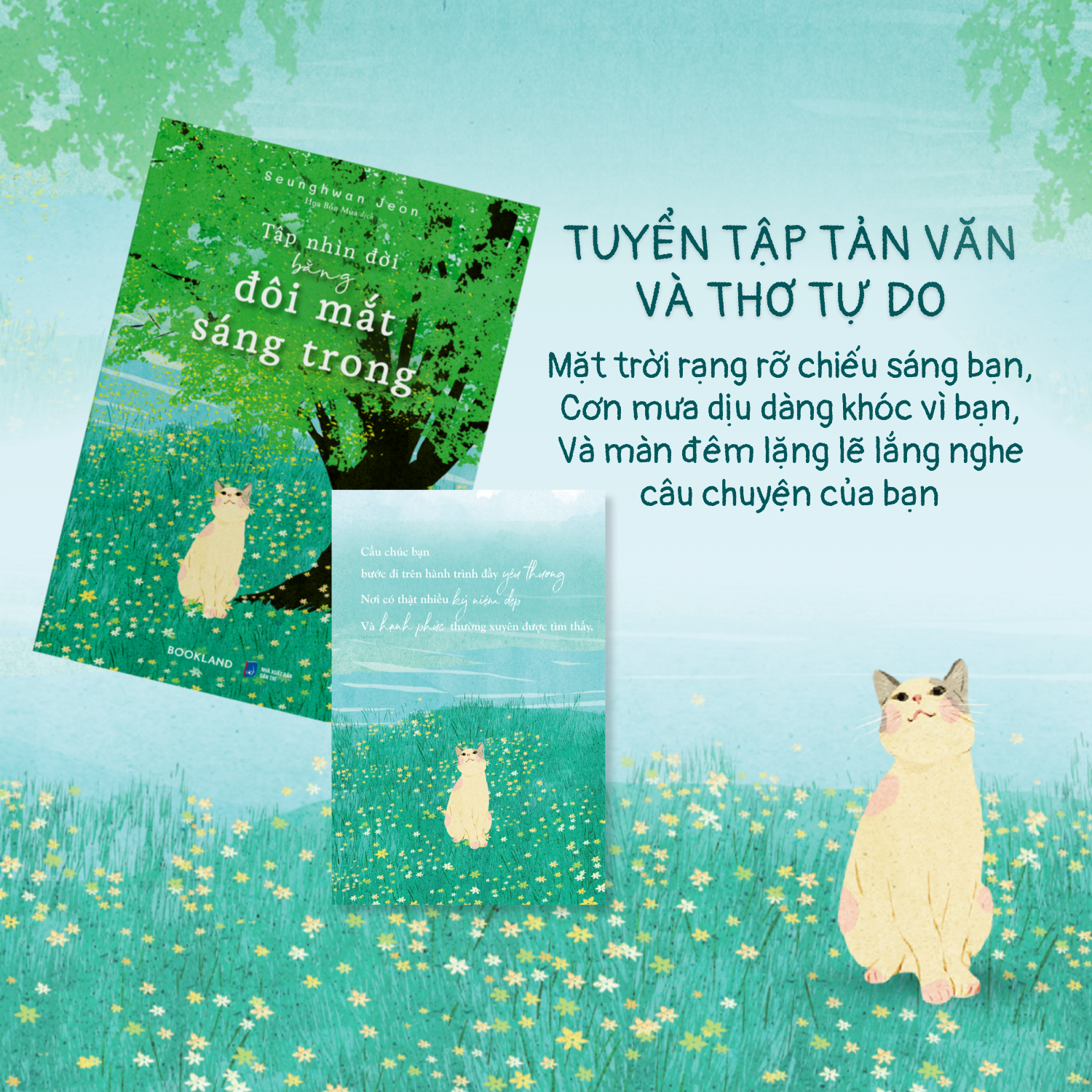 Tap Nhin Doi Bang Doi Mat Sang Trong