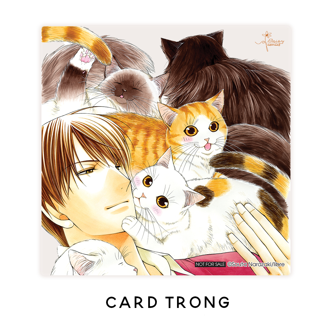 tập san nekoneko - tặng kèm card trong