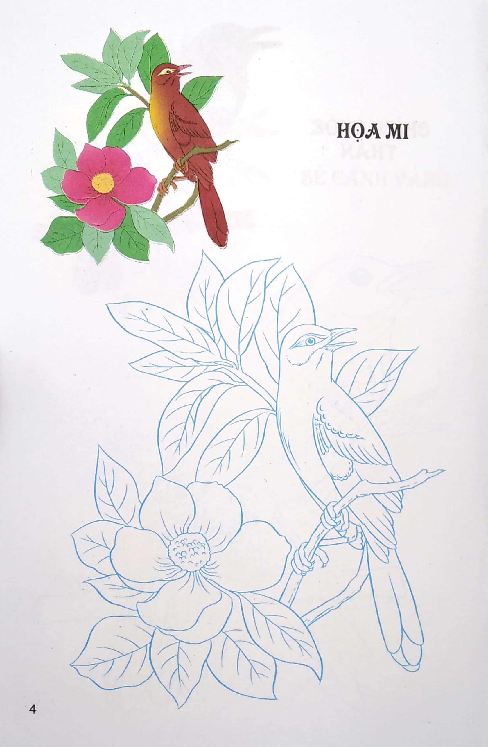 tập tô màu - các loài chim