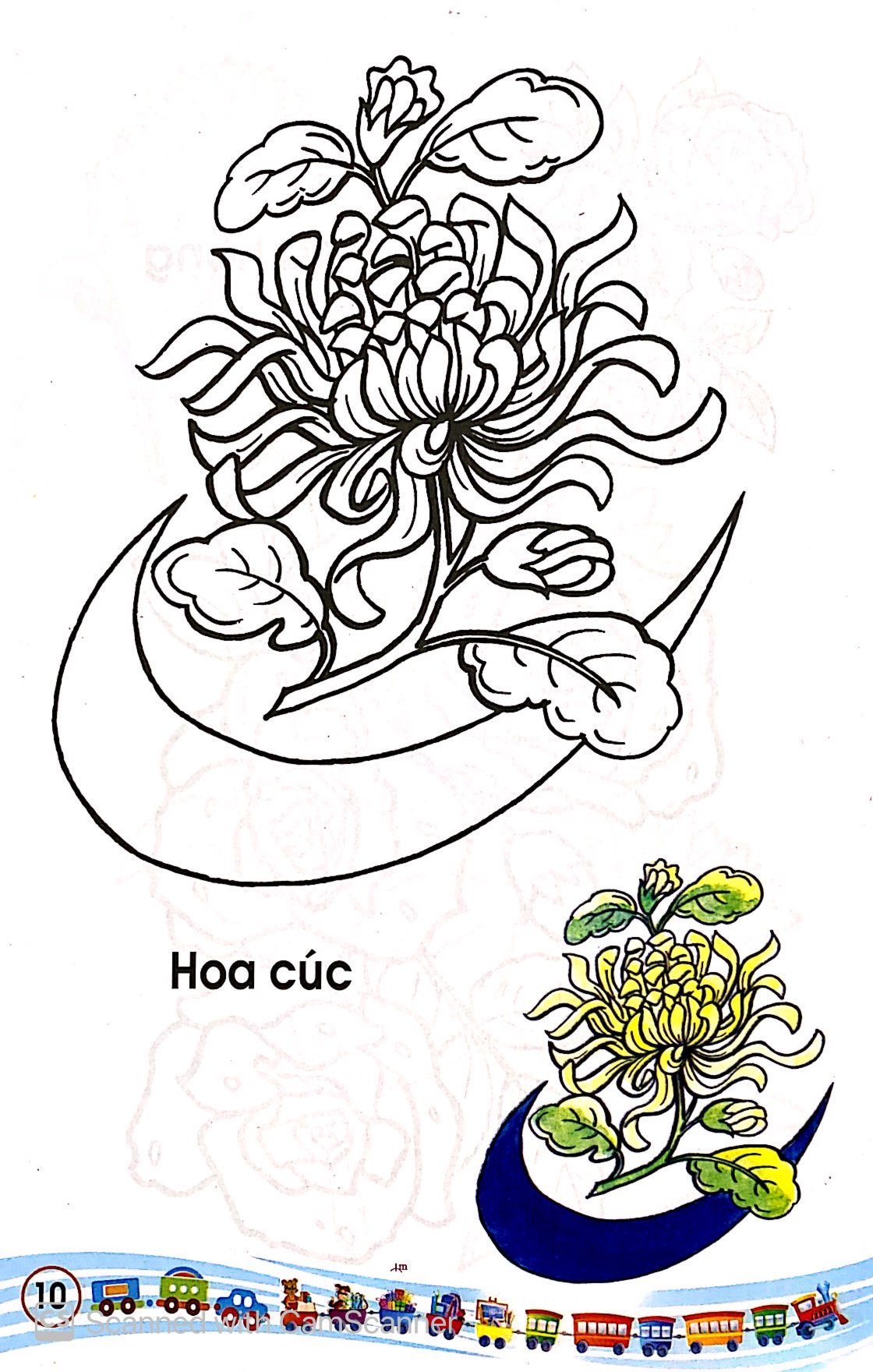 tập tô màu các loại hoa