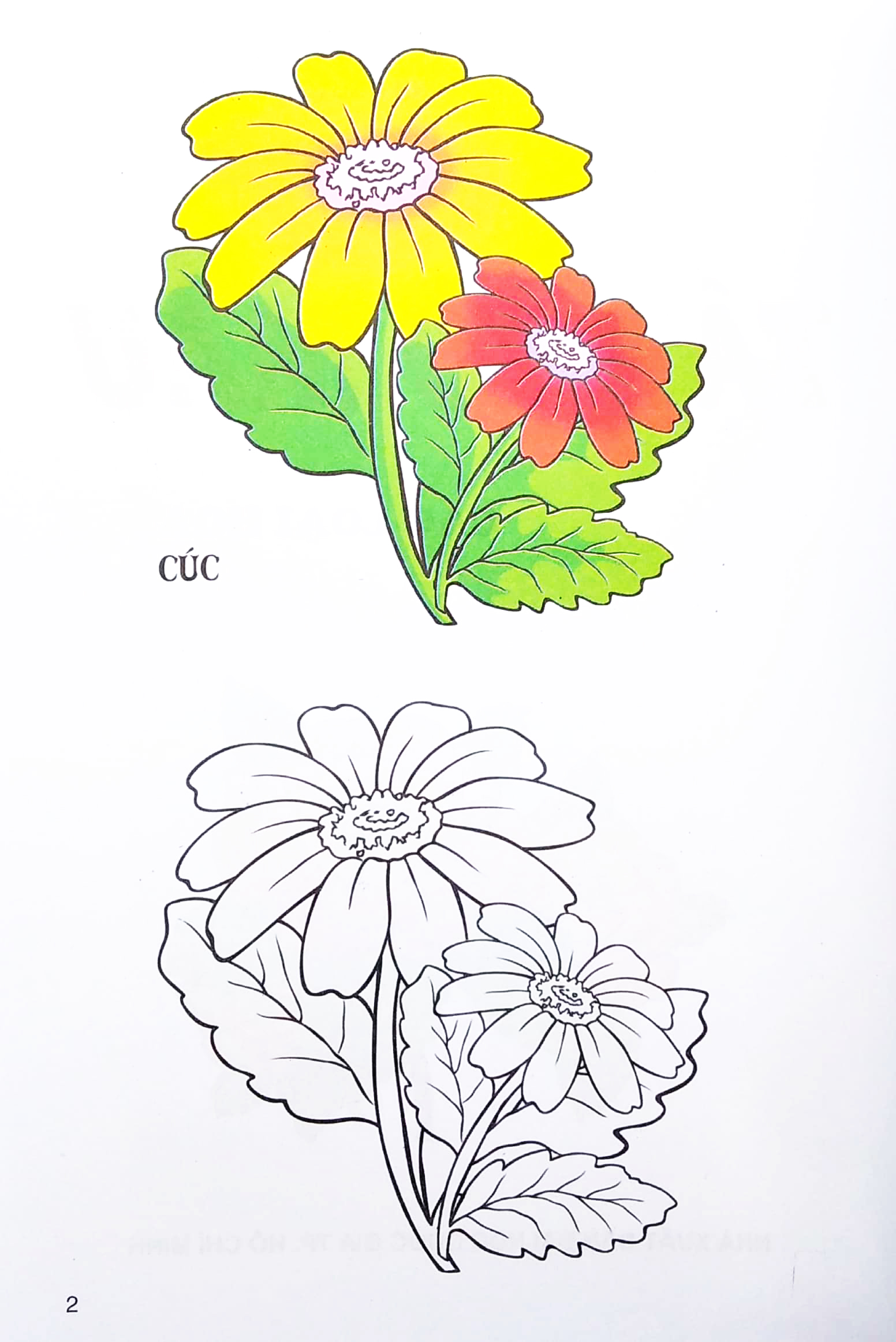 tập tô màu các loại hoa