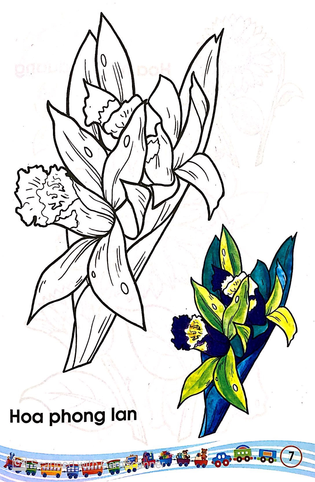 tập tô màu các loại hoa