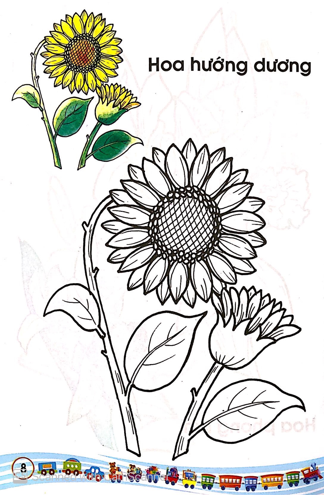 tập tô màu các loại hoa