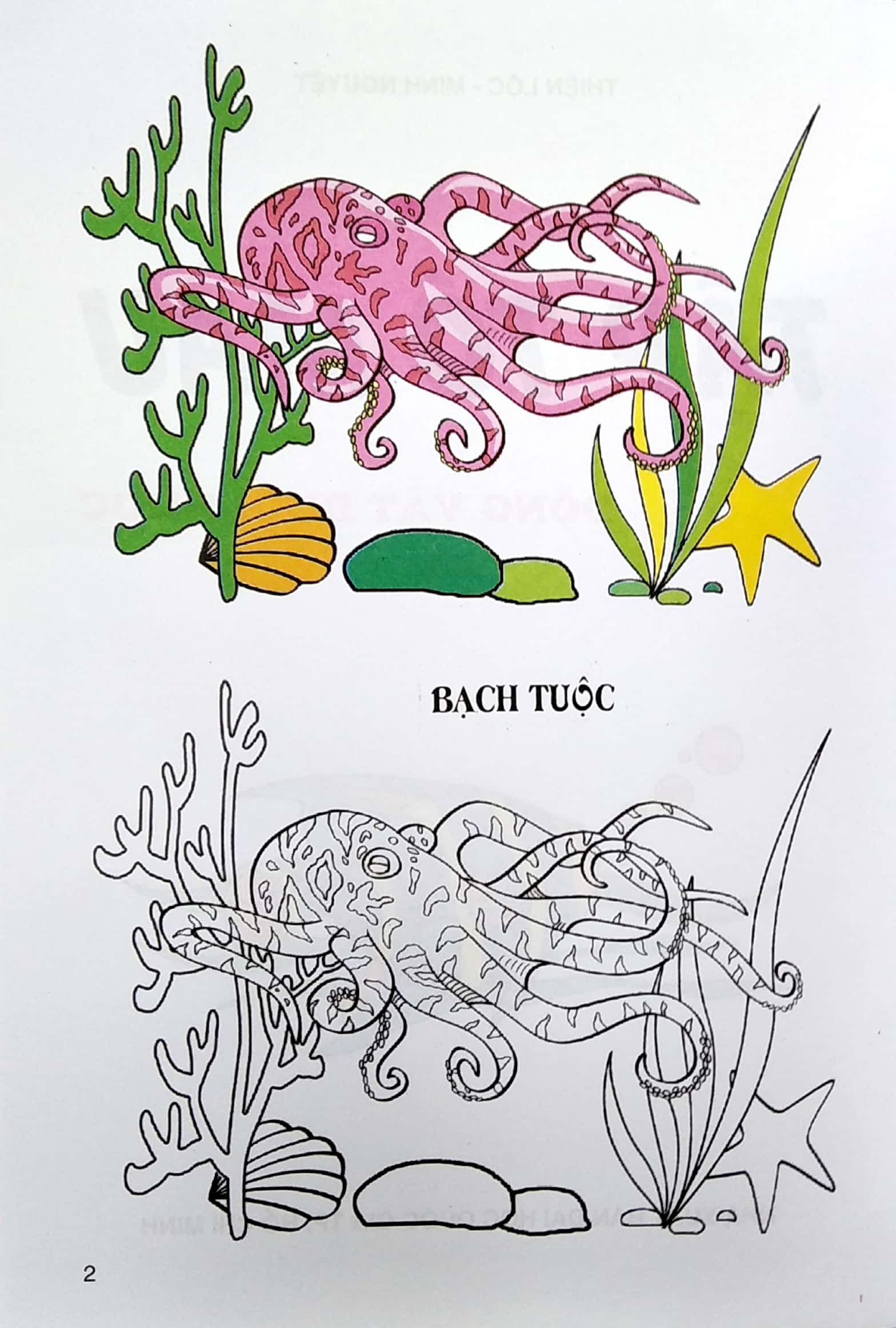 tập tô màu - động vật dưới nước