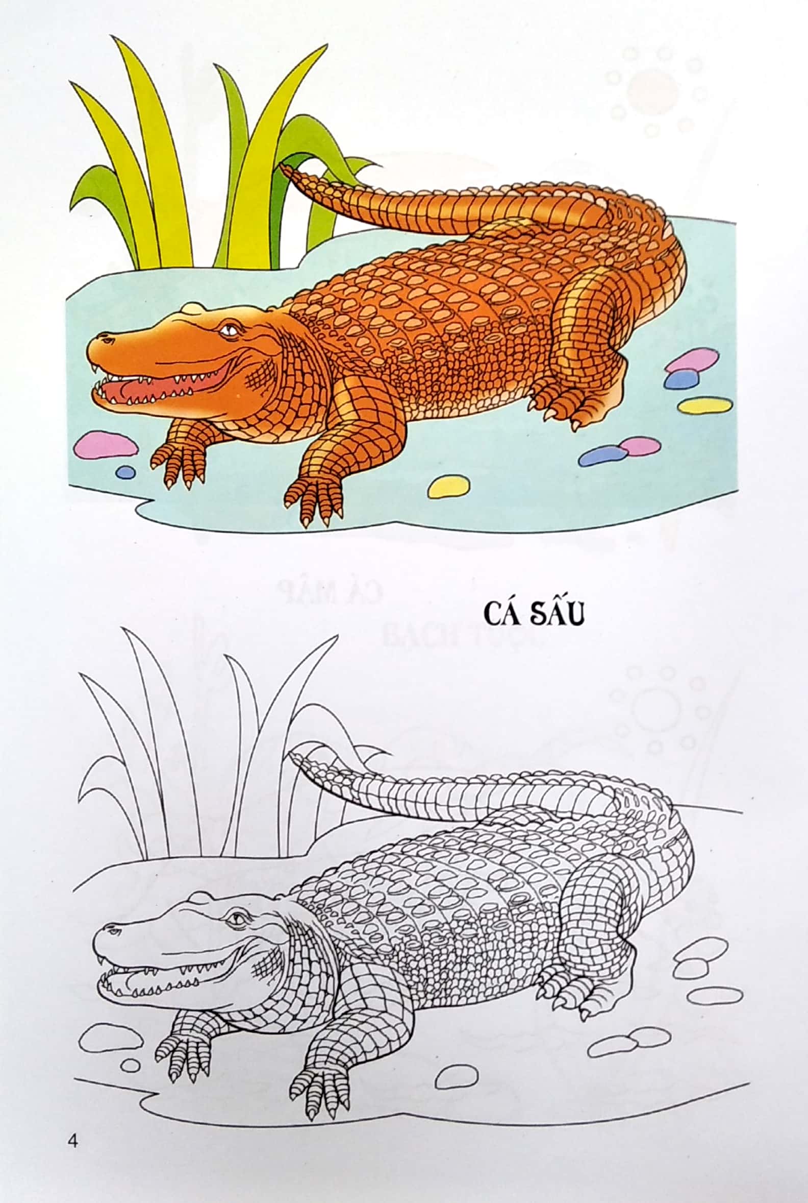 tập tô màu - động vật dưới nước