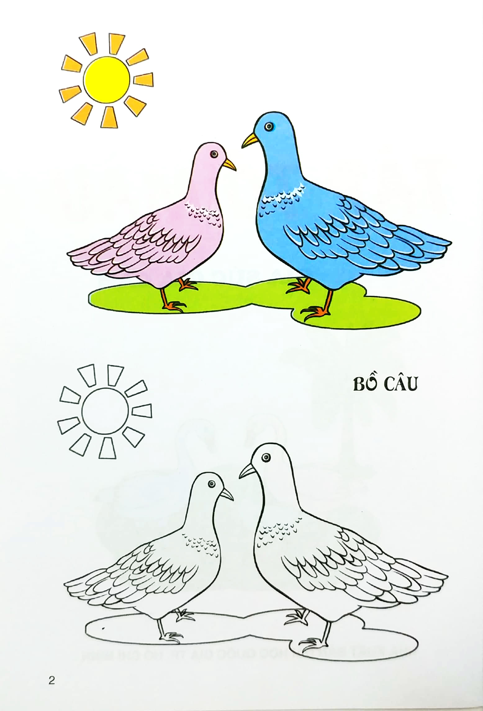 tập tô màu - gia súc gia cầm