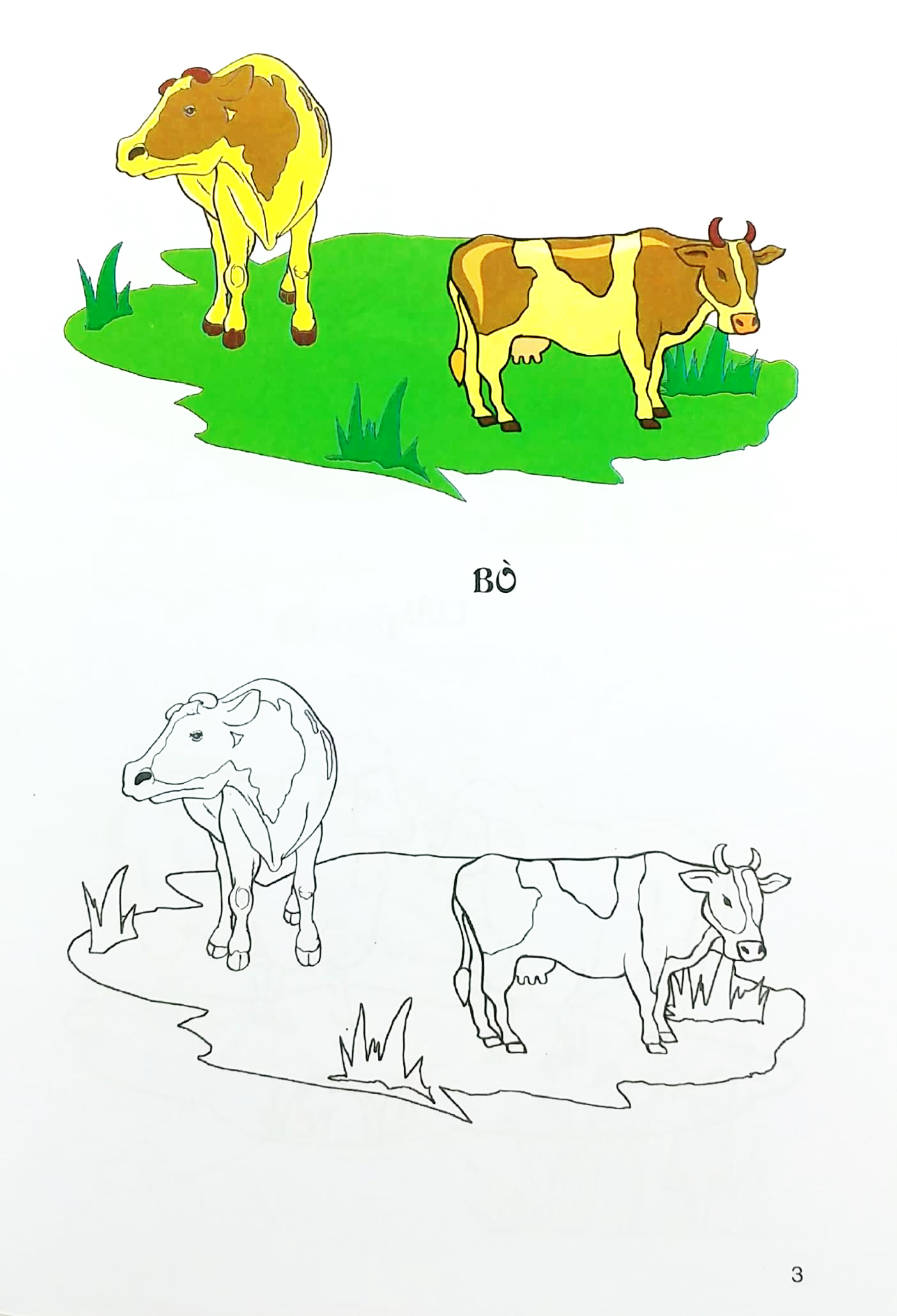 tập tô màu - gia súc gia cầm