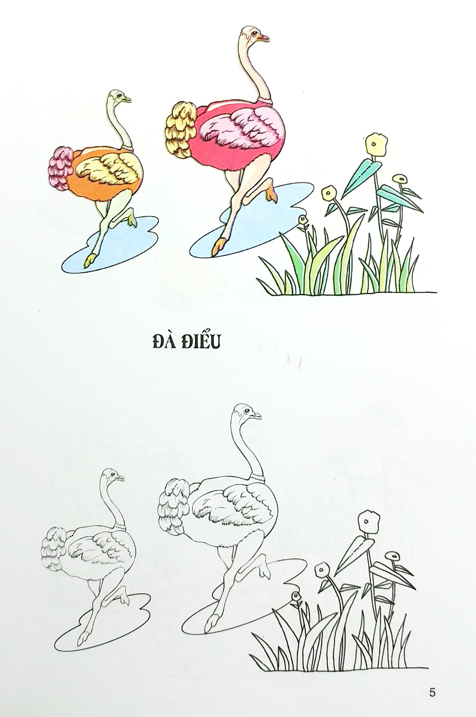 tập tô màu - gia súc gia cầm